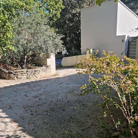 Nouveaute Studio Sur Les Hauteurs. Robion en Luberon Екстериор снимка